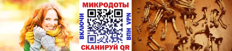 Псилоцибиновые грибы мухоморы  Крымск 